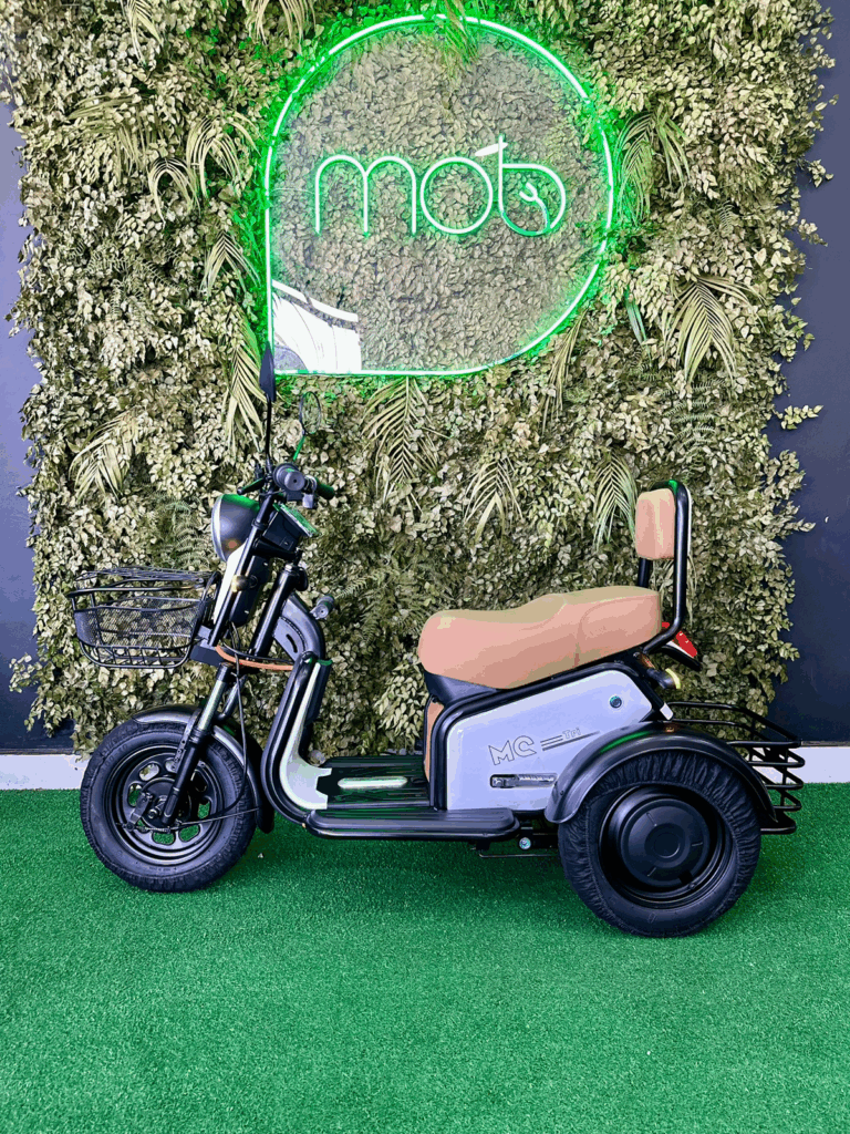 Triciclo-elétrico-Moto-Chefe-JOY-TRI-600W-motor