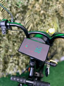 Triciclo-elétrico-Moto-Chefe-JOY-TRI-600w-painel