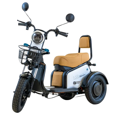 Triciclo elétrico Moto Chefe JOY TRI 600W